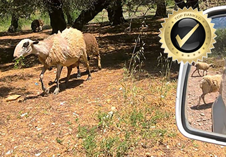 Jeep safari at twilight with panoramic views over Crete